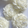 Vela Peonia
