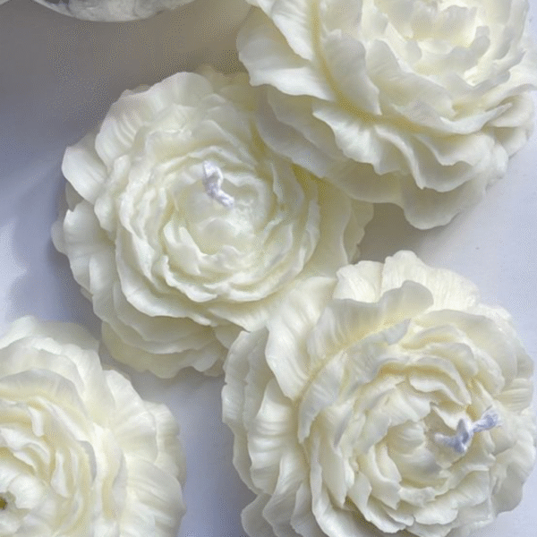 peonias-7add9e9b81932cc18a16963755408597-1024-1024 Vela Peonia